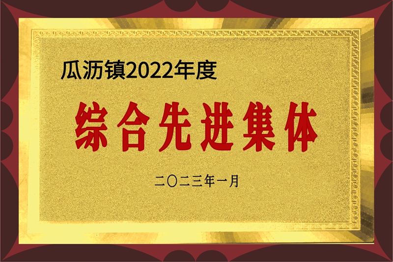 综合先进集体（2022）