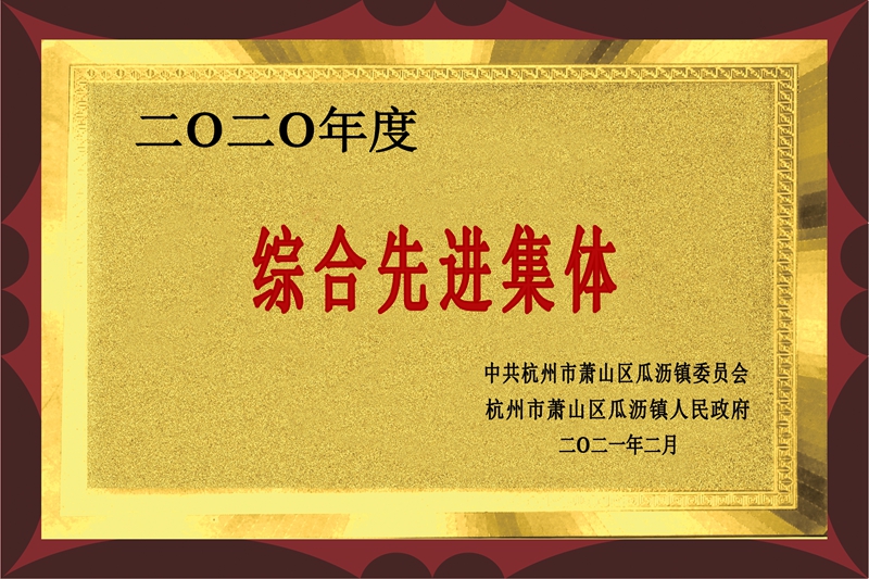 综合先进集体